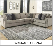 BOVARION SECTIONAL