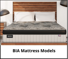 Bedding Industries of America Mattresses